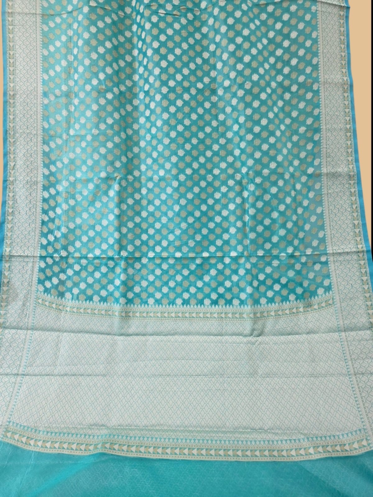 Firozi Banarasi silk saree